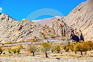 Tibetan plateau scene-Old lama temple