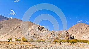 Tibetan plateau scene-Old lama temple