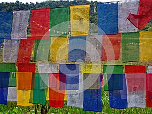 Tibetan Prayer Flag for Faith, peace, wisdom, compassion, and st