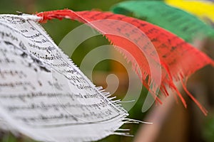 Tibetan prayer flags blown by the wind