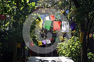 Tibetan Prayer Flags in Buddhist Monastary