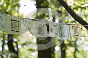 Tibetan Prayer Flags Hanging Near a Forest Retreat