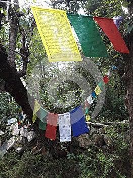 Tibetan prayer flags in Macleod Ganj