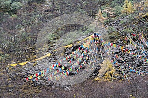 Tibetan prayer flags on a mountain slope at Huanglong, China