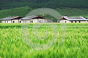 Tibetan residential building