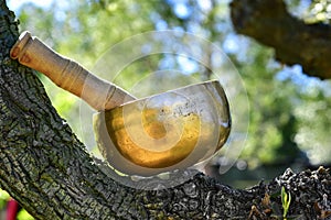 Tibetan singing bowl