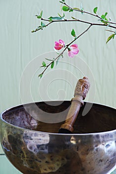 Tibetan singing bowl with mallet