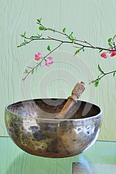 Tibetan singing bowl with mallet photo