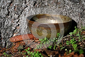 Tibetan singing bowl in nature Translation of mantra transform your impure body, speech and mind