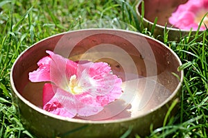 Tibetan singing bowl with water and pink flower close up on the nature grass background  - ancient music instrument for meditation