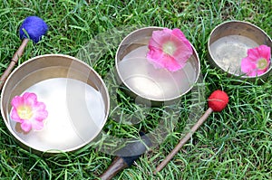 Tibetan singing bowls with water, flowers and sticks on the grass - ancient music instruments for meditation, relaxation, yoga