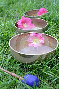 Tibetan singing bowls with water and pink flowers on the grass - healing instruments for meditation, massage, relaxation, yoga