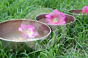 Tibetan singing bowls with water and pink flowers on the nature background  - ancient music instruments for meditation, relaxation