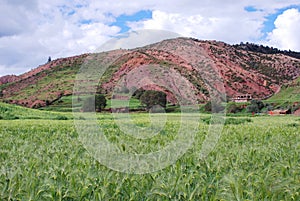 Tibetan village and field