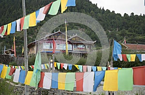 Tibetan village photo