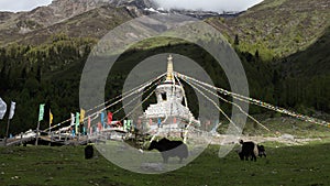 Tibetan white pagoda prayer flags at Siguniang Mountain in Chengdu, Sichuan, China.