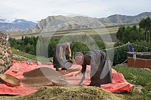 Tibetan winnower from Upper Mustang  Nepal