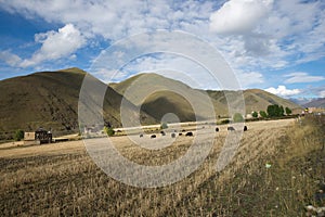 Tibeten rural scenery