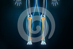 Tibia or shinbone x-ray front or anterior view. Osteology of the human skeleton, leg or lower limb bones 3D rendering illustration