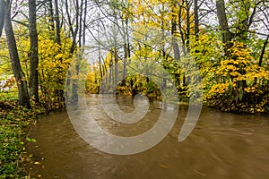 Ticha Orlice river in the Czech Republ