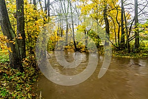 Ticha Orlice river in the Czech Republ