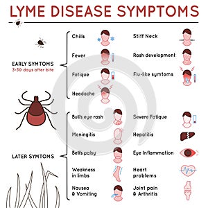 Tick disease poster