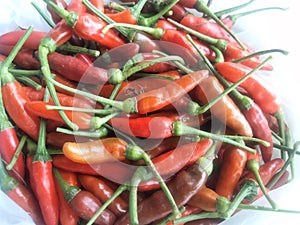 The tick peppers of a small, red, super peppery type pepper that have a high economic value