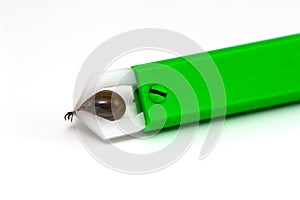 Tick with a Tick-forceps isolated on white