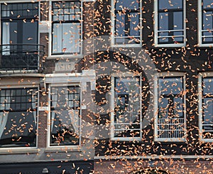 Ticker tape in front of a building in Amsterdam