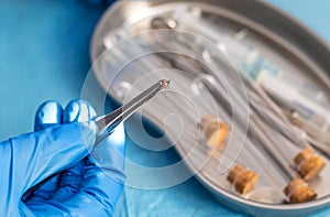 Ticks in the lab for analysis. Selective focus.