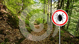 Ticks sign in the wild green forest.