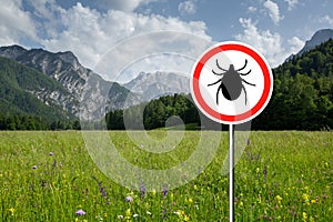 Ticks sign in the wild green meadow.