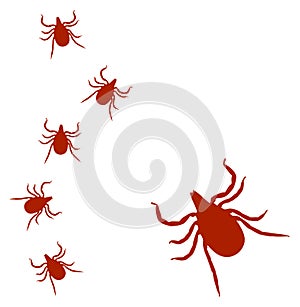 Ticks Vector
