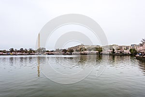 Tidal Basin at Cherry Blossom Time