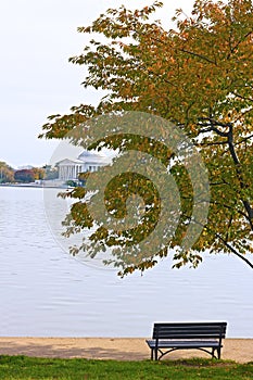 Tidal Basin and Thomas Jefferson Memorial at the morning, Washington DC.