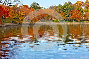 Tidal Basin with trees in autumn foliage in Washington, DC.