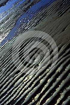 Tidal Beach Sand Ripples