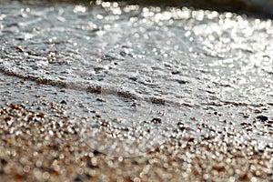 Tidal bore. The wave rolls onto the seashore, which is covered with shells. Coastline. Sea waves with white foam and shells beach