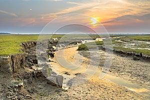 Tidal channel marshland Ameland