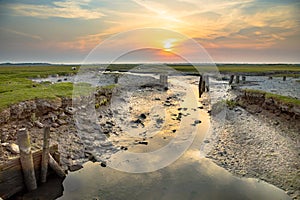 Tidal channel marshland Ameland