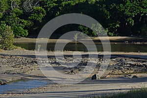 A tidal creek at mid tide