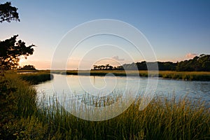 Tidal creek and salt marsh on Horseshoe cove, Sandy Hook