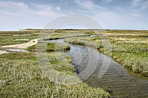 Tidal creek and sand path