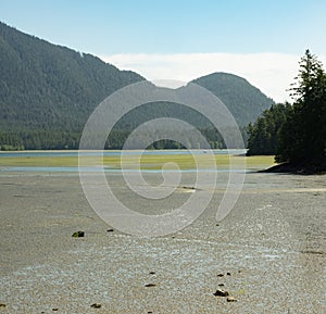 Tidal flat with forested mountains