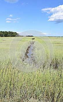 Tidal Flat and Marshland with a Small Creek
