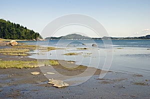 Tidal flats of a large river