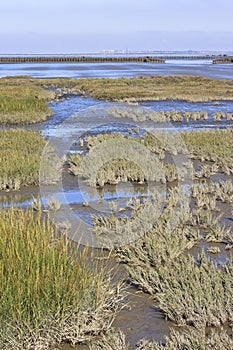 Tidal influence, Waddenzee in the Netherlands