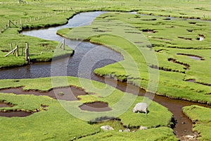 Tidal inlets or saltings on Harris photo