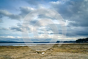 Tidal Lands Marsh On Puget Sound