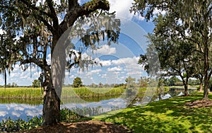 tidal marshlands and live oaks covered in Spanish moss in the Carolina Lowcountry